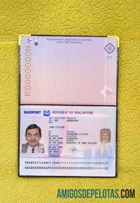 Visual fotográfico do novo passaporte de Cingapura (2017+) amostra